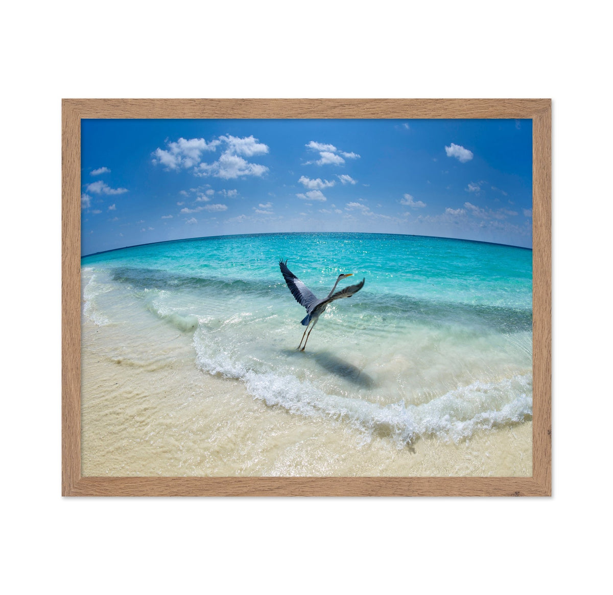 Heron Takeoff No1