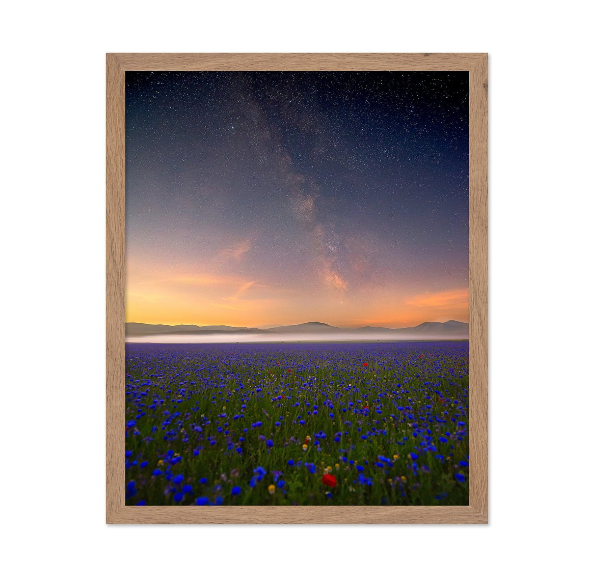 Milky Way Meadow