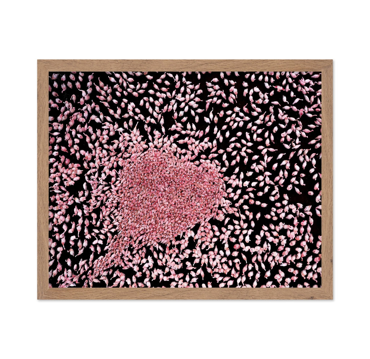 Flamingo Heart No1