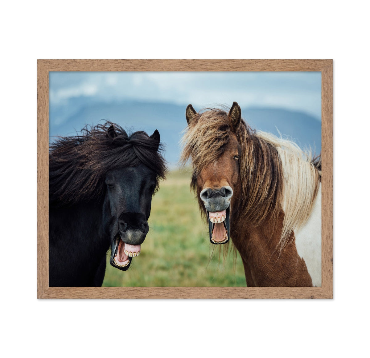 Laughing Horses