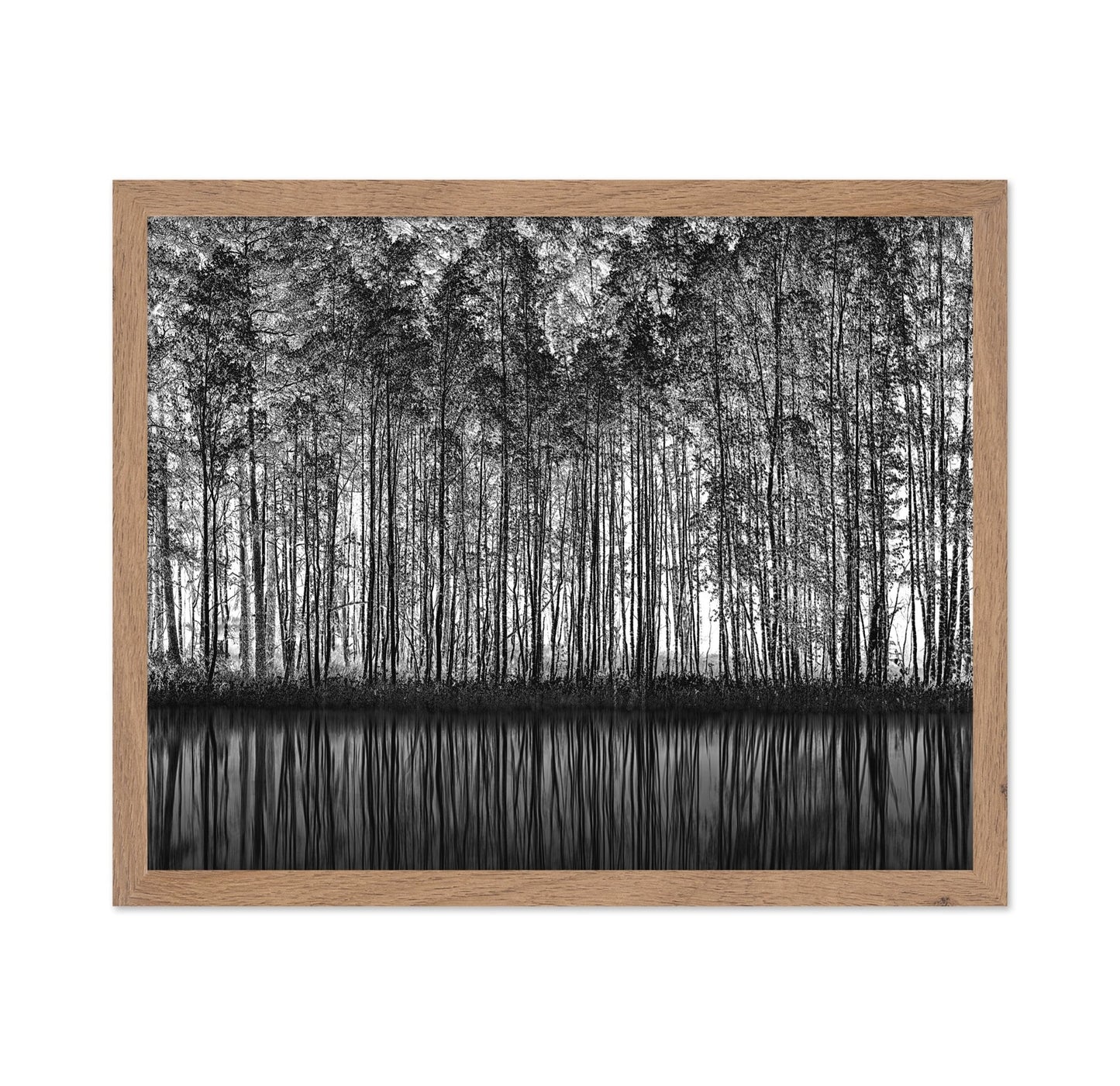 Forest Reflection