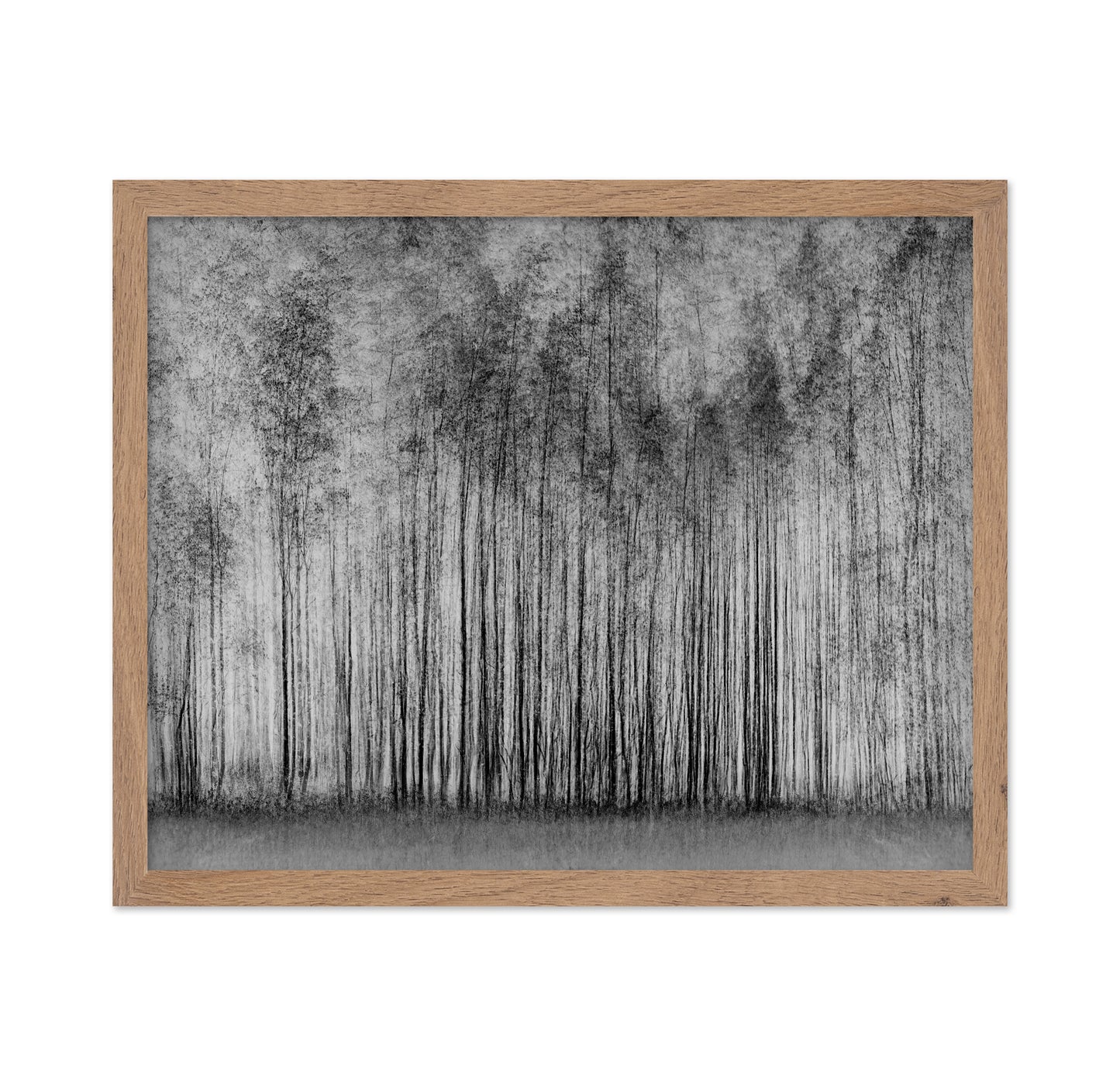 Dense Forest Lines