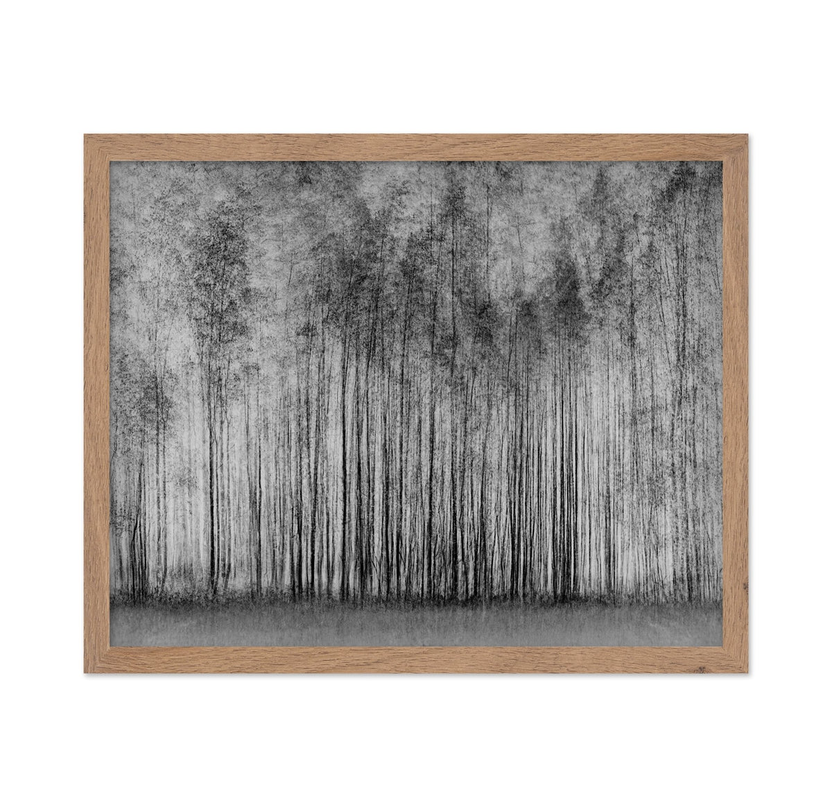 Dense Forest Lines