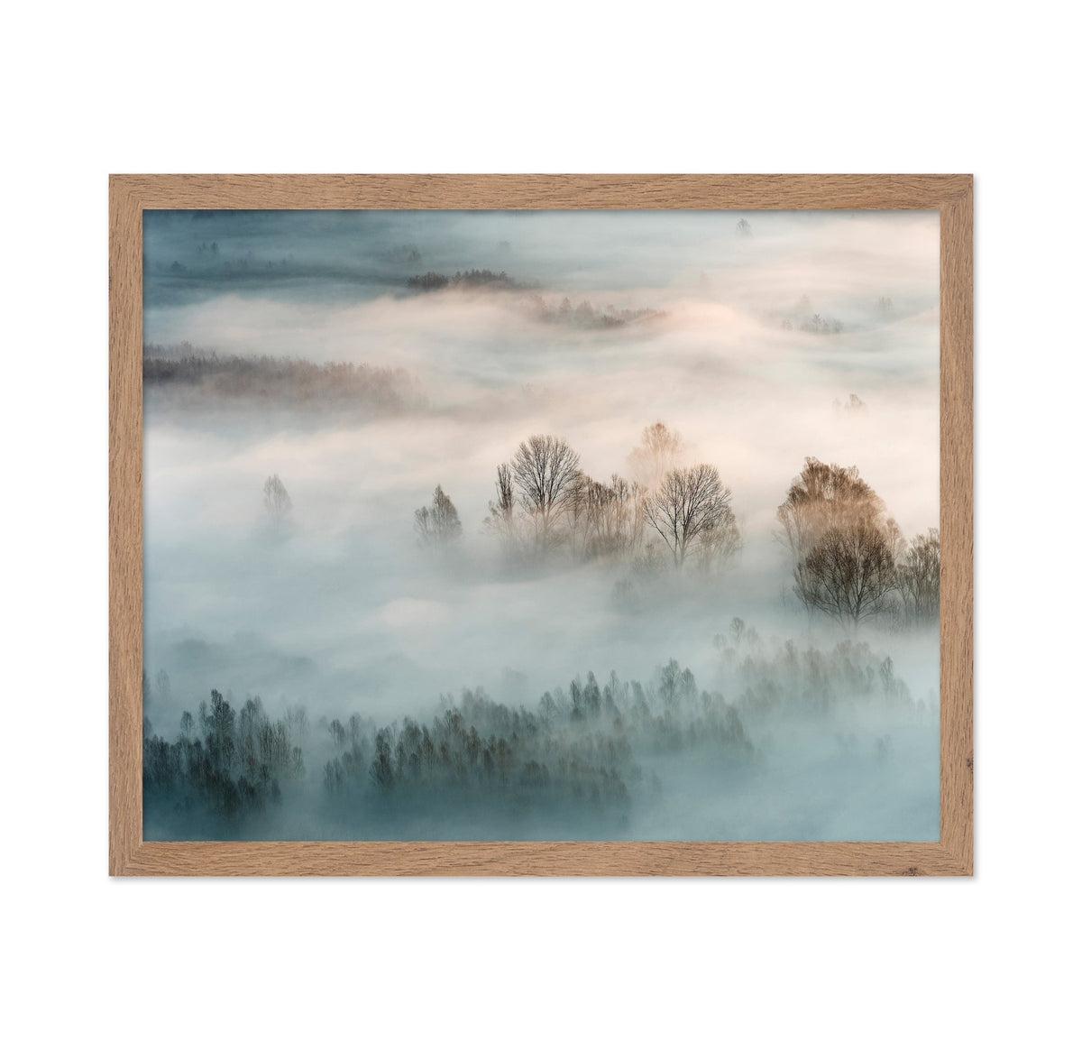 Misty Winter Trees