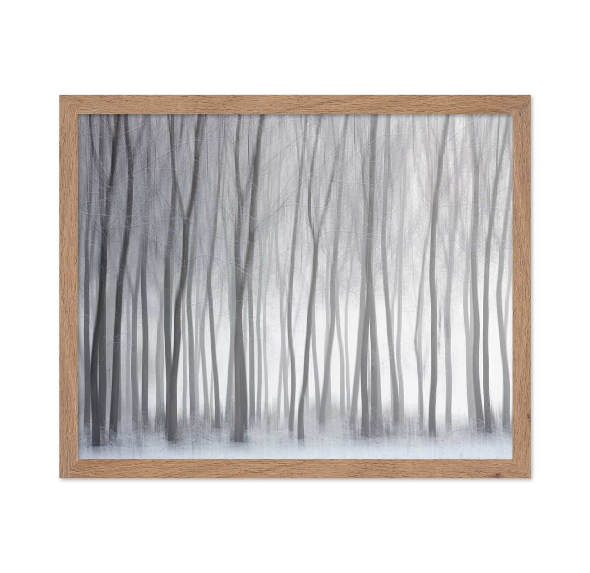 Winter Forest Lines