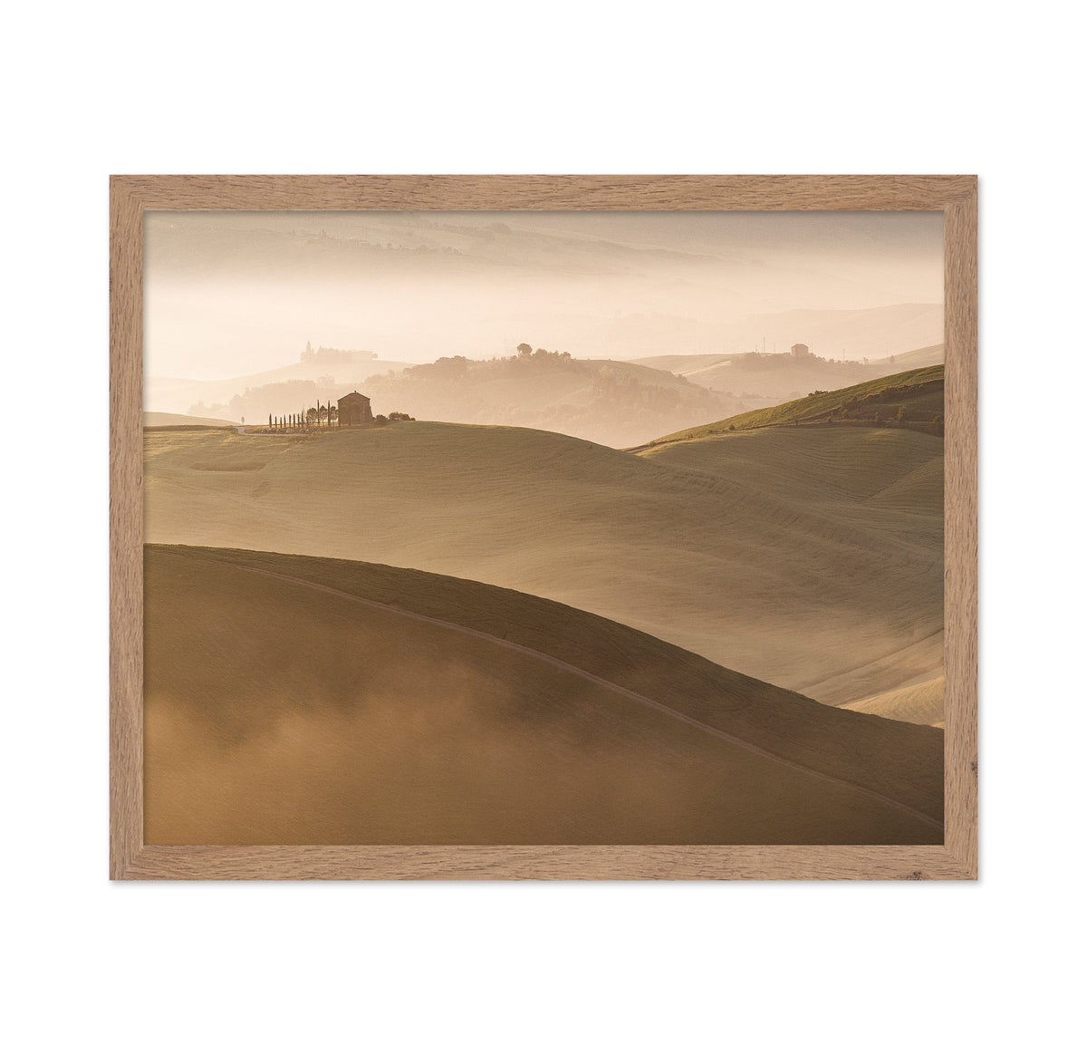 Golden Hills Landscape