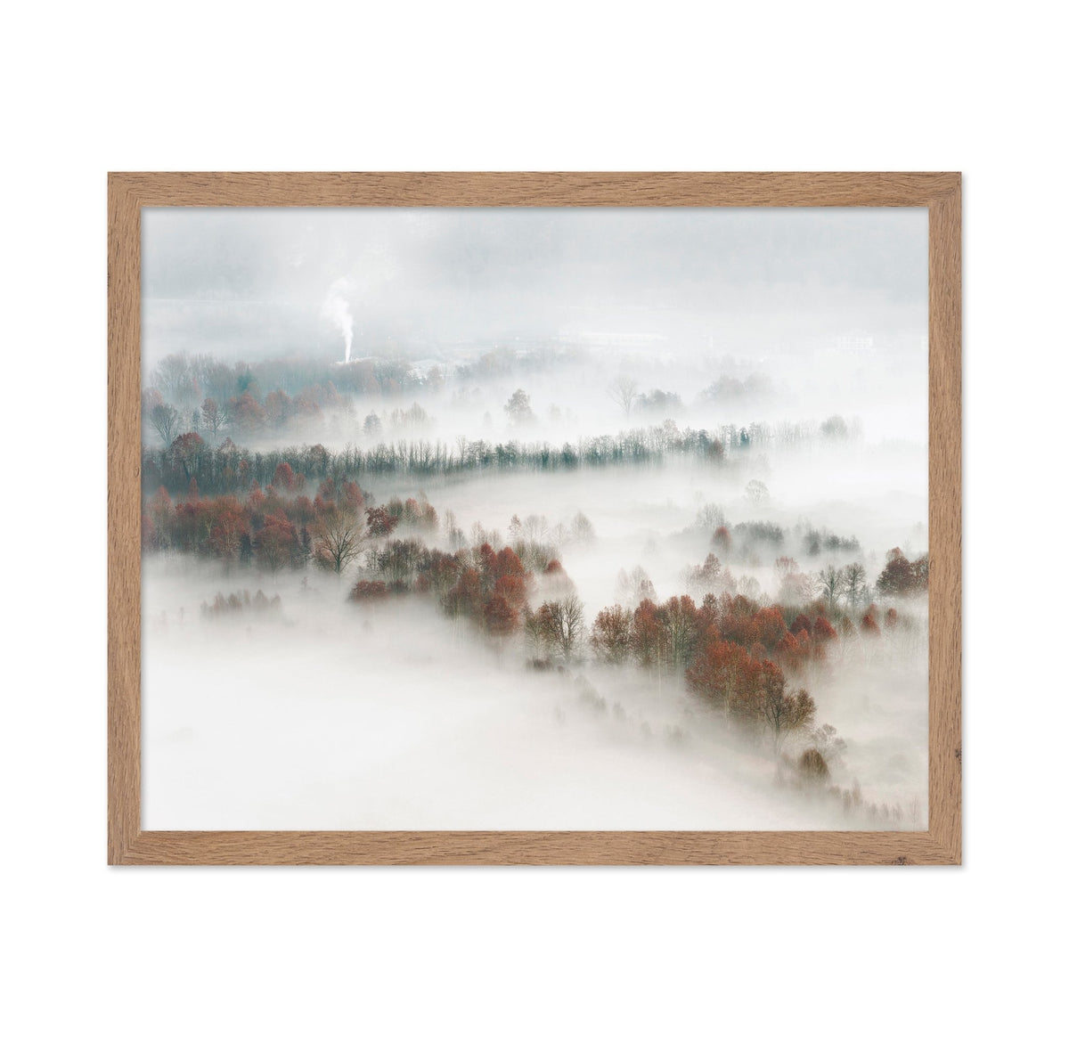 Foggy Forest Landscape with Smoke