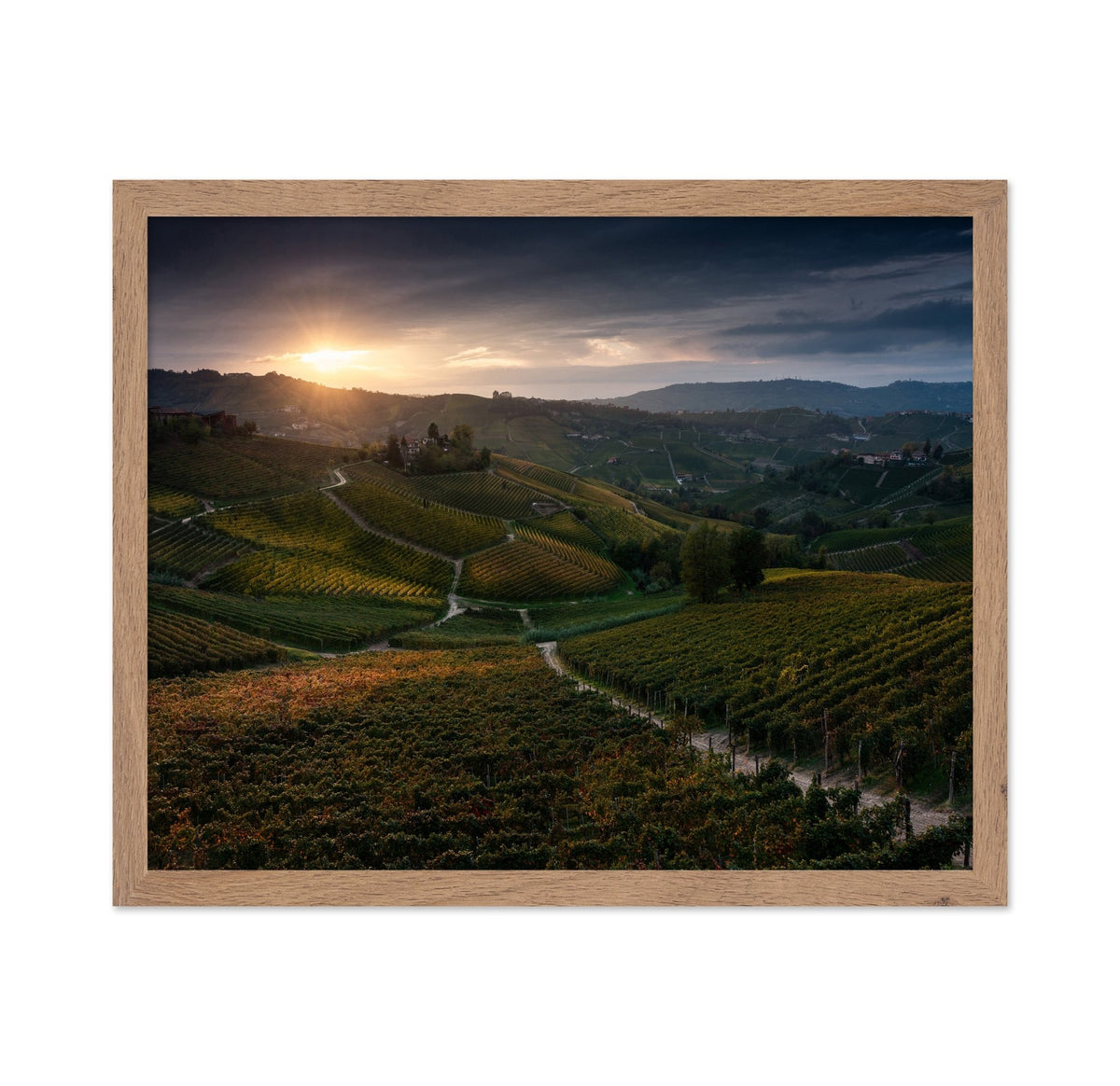 Vineyard Hills at Sunset