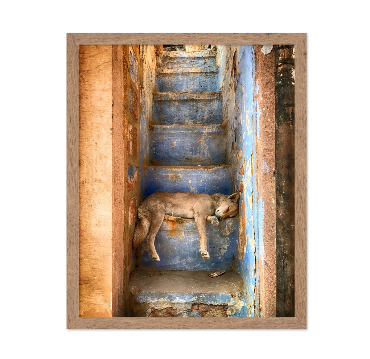 Sleeping Dog on Rustic Stairs