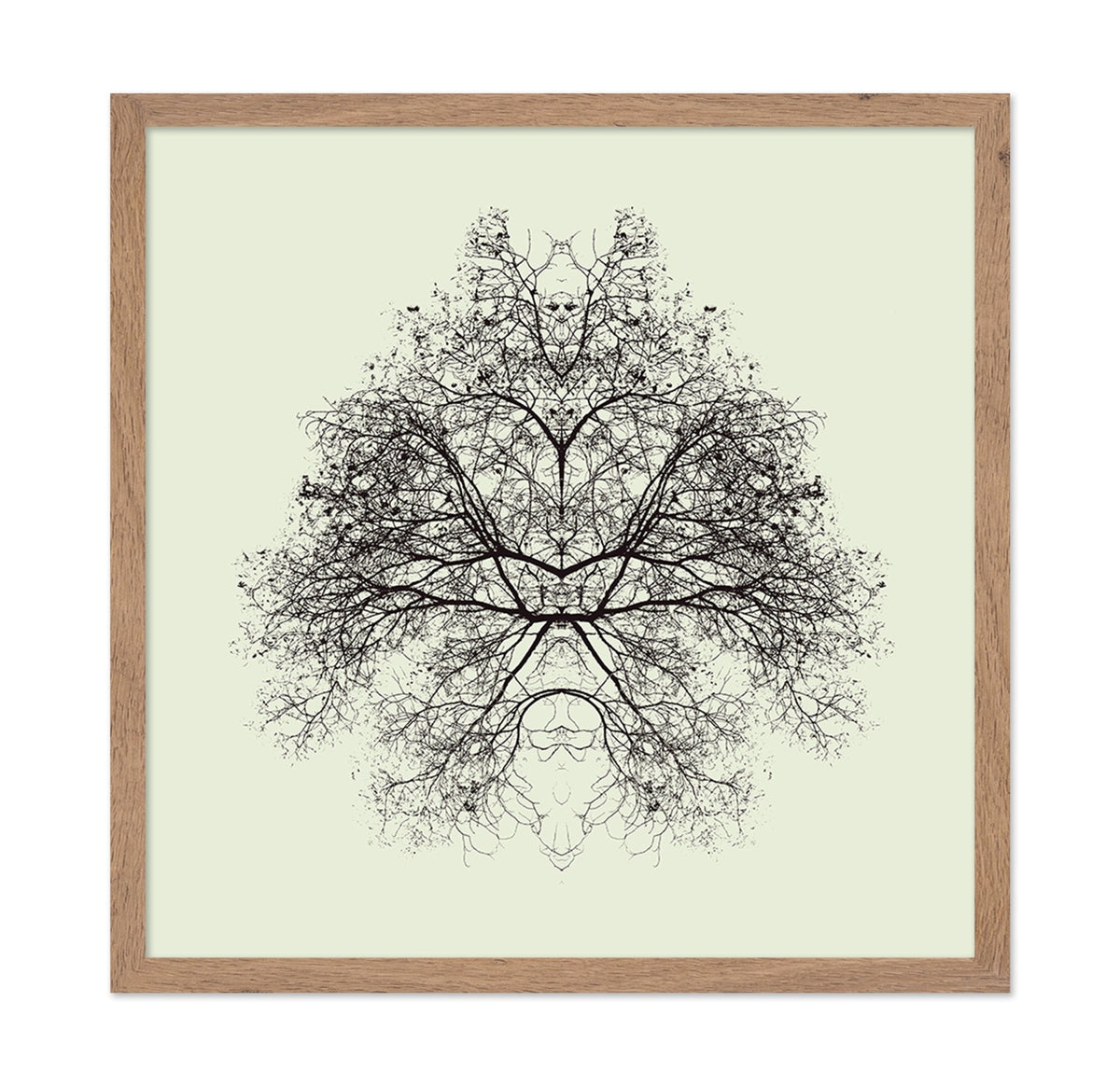 Symmetry Tree Ink