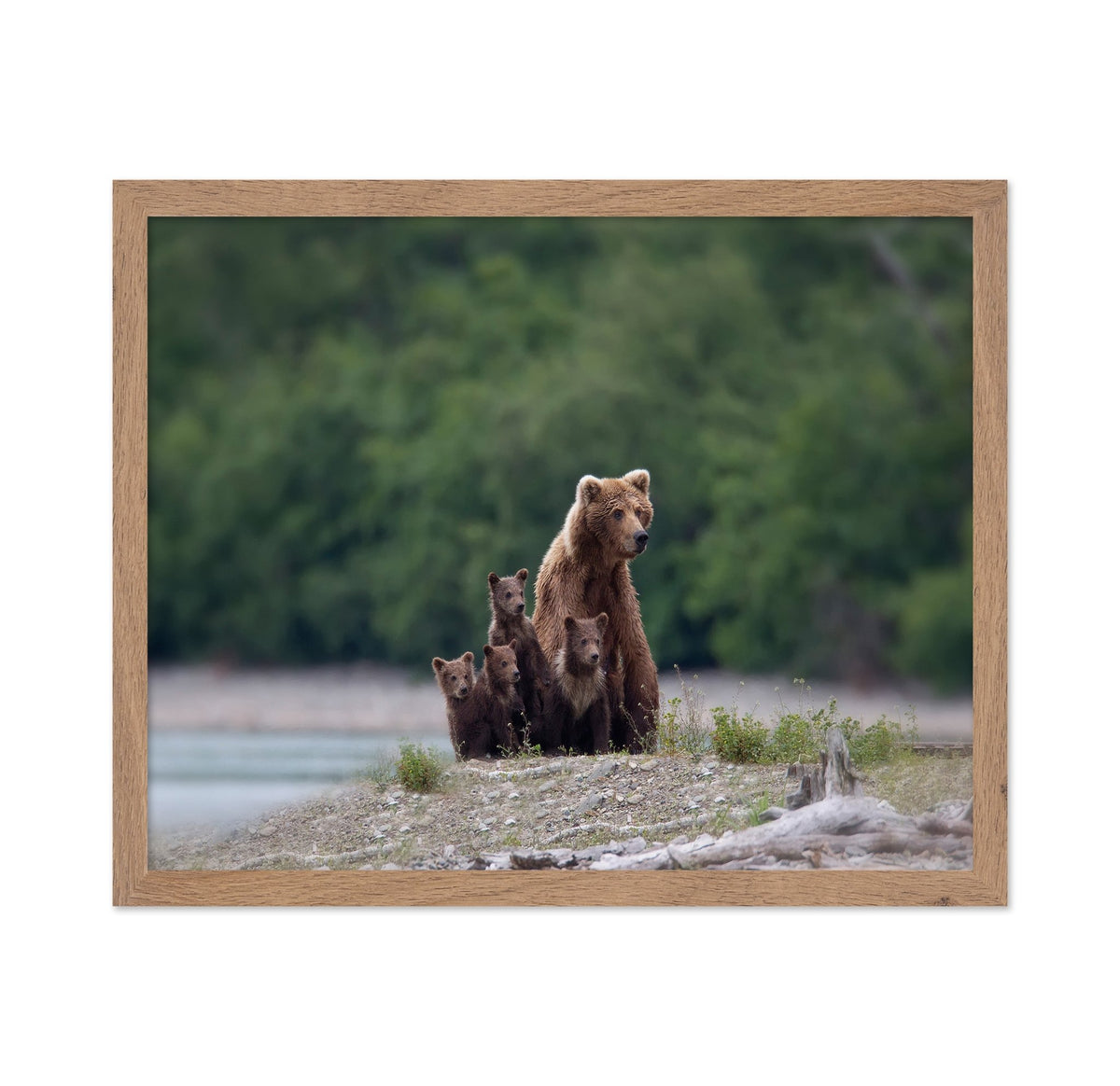 Bear Family Bond