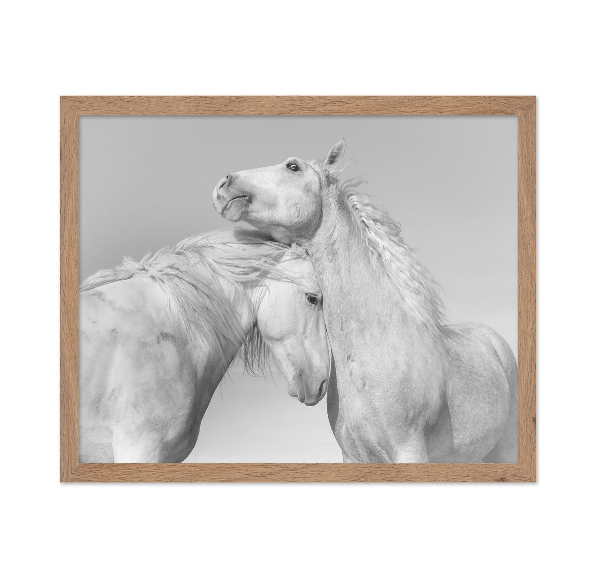 Gentle Horse Bond