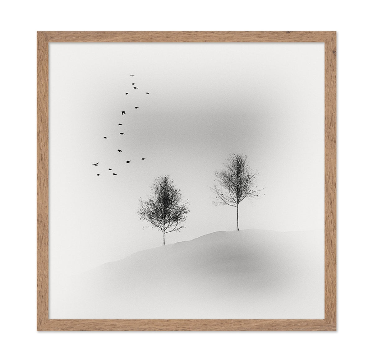 Quiet Winter Trees
