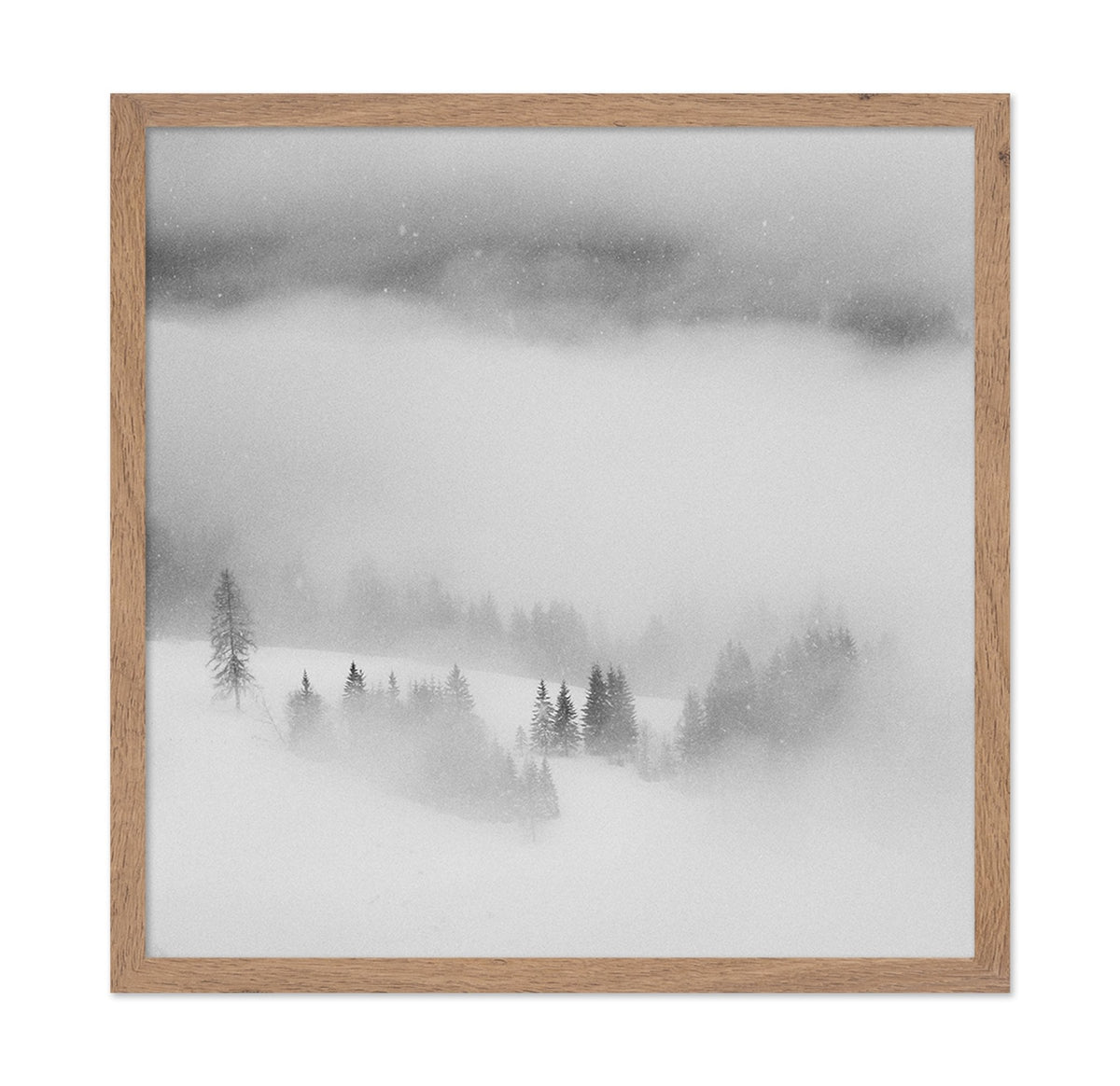 Snowfall Stillness