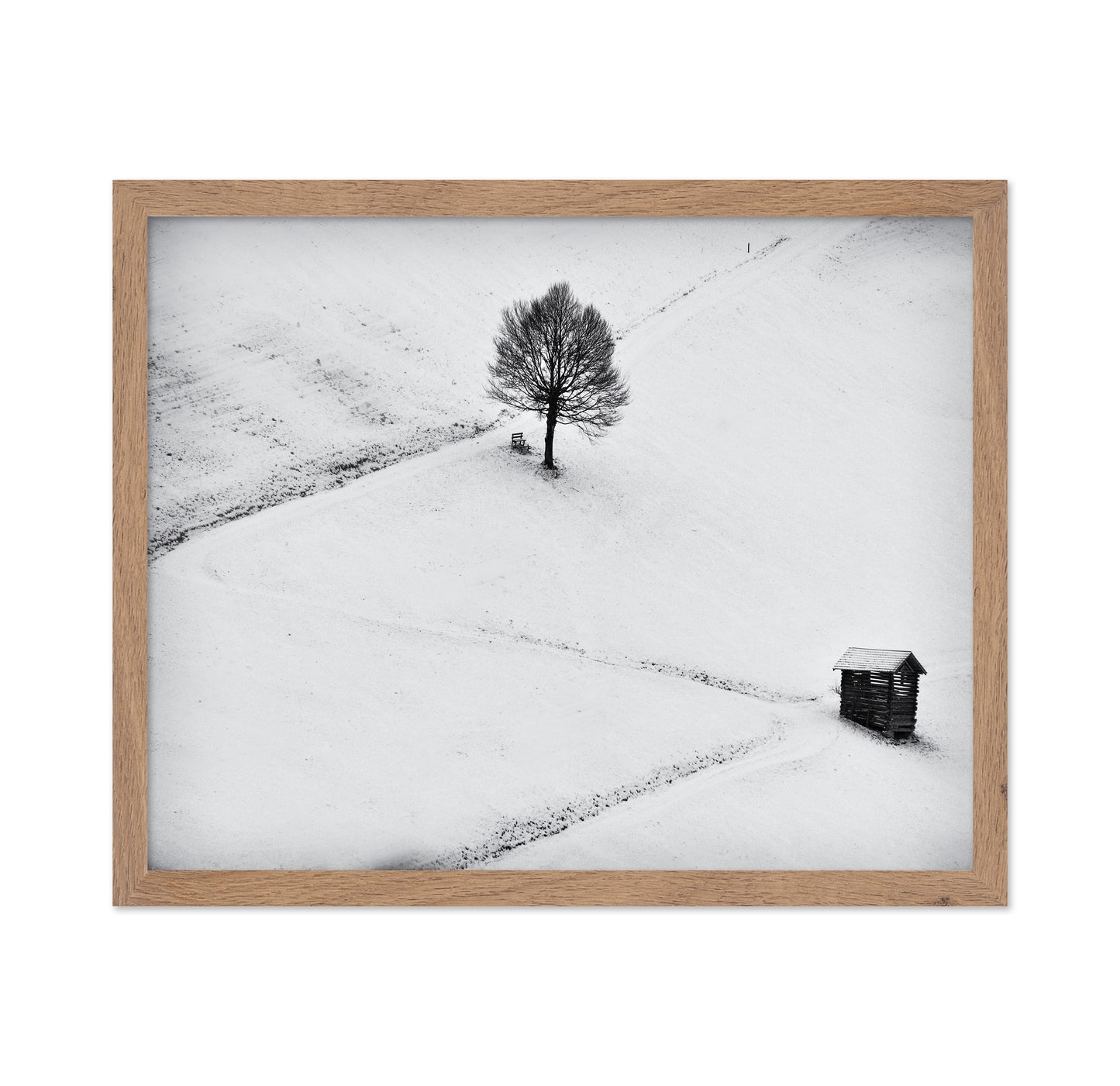 Winter Solitude