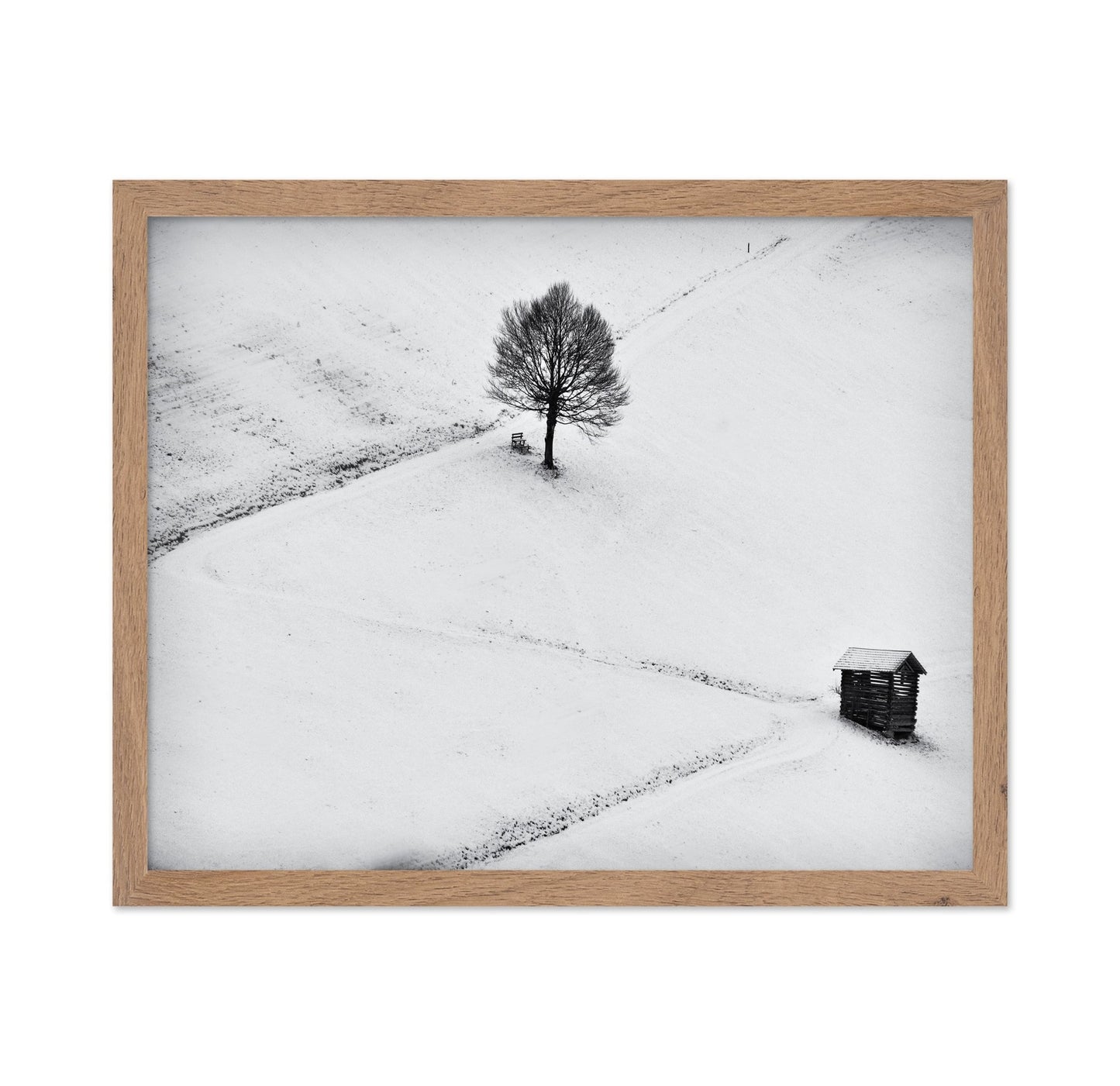 Winter Solitude