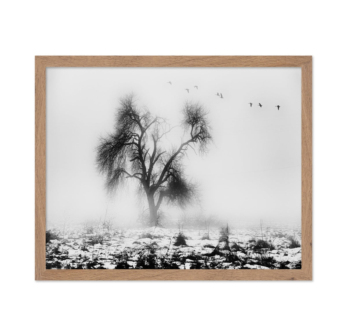 Lone Winter Tree No2