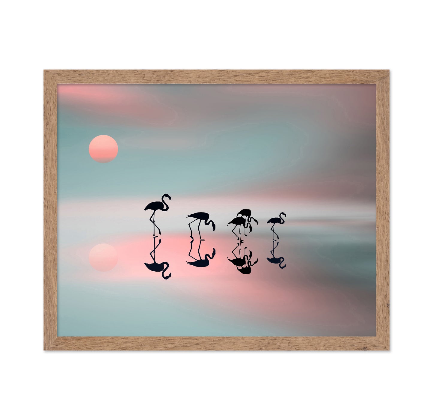 Flamingo Reflections