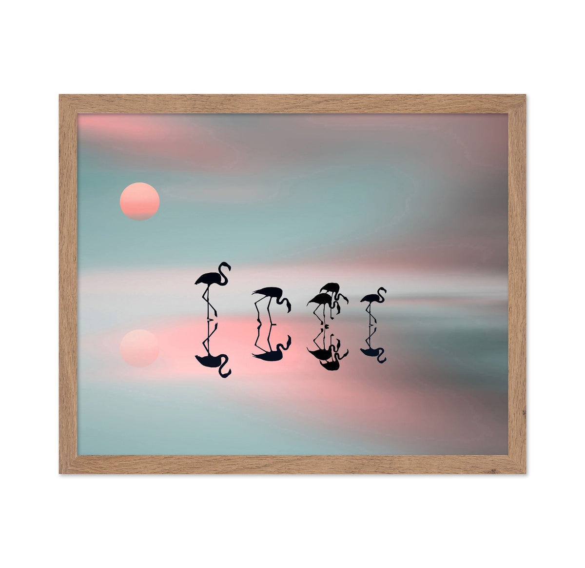 Flamingo Reflections