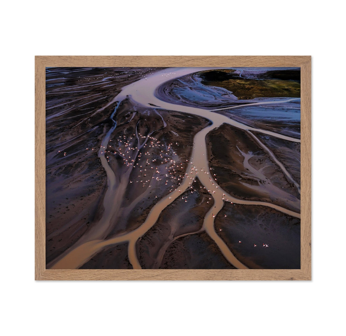 Flamingos Over Winding Waters
