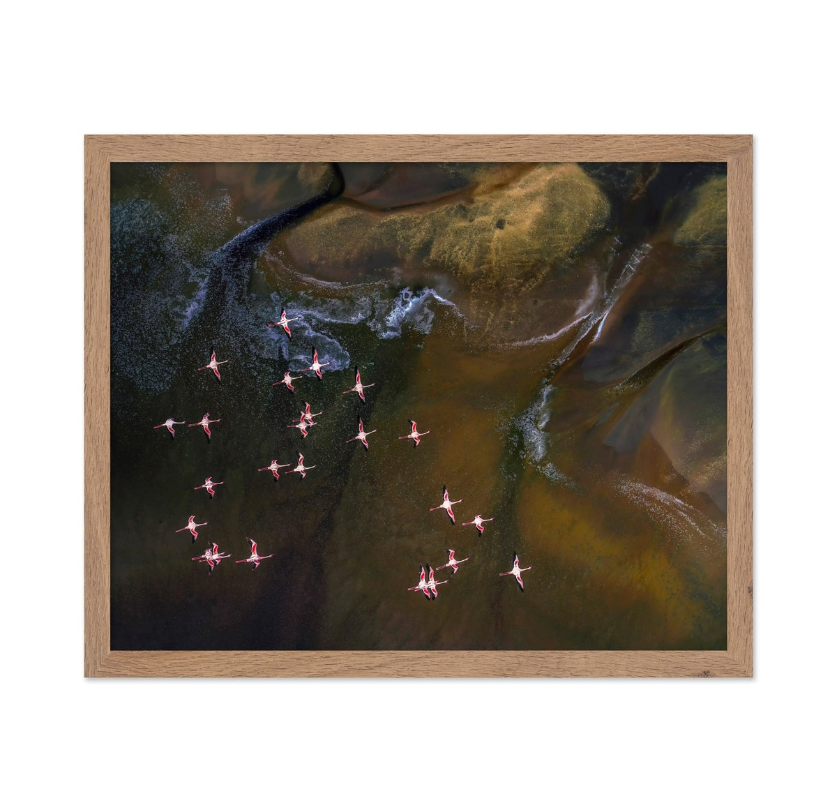 Flamingos Over Abstract Waters