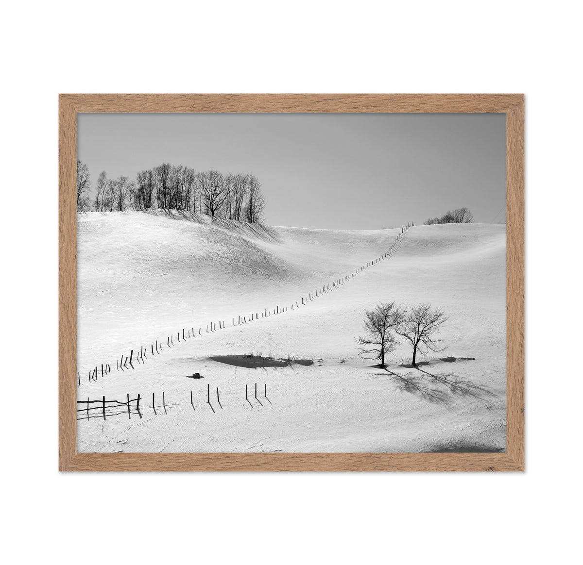 Winter Divide Landscape
