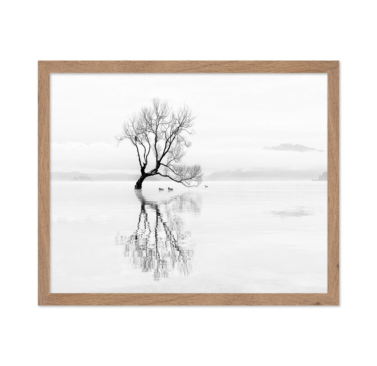 Lone Tree with Ducks Reflection