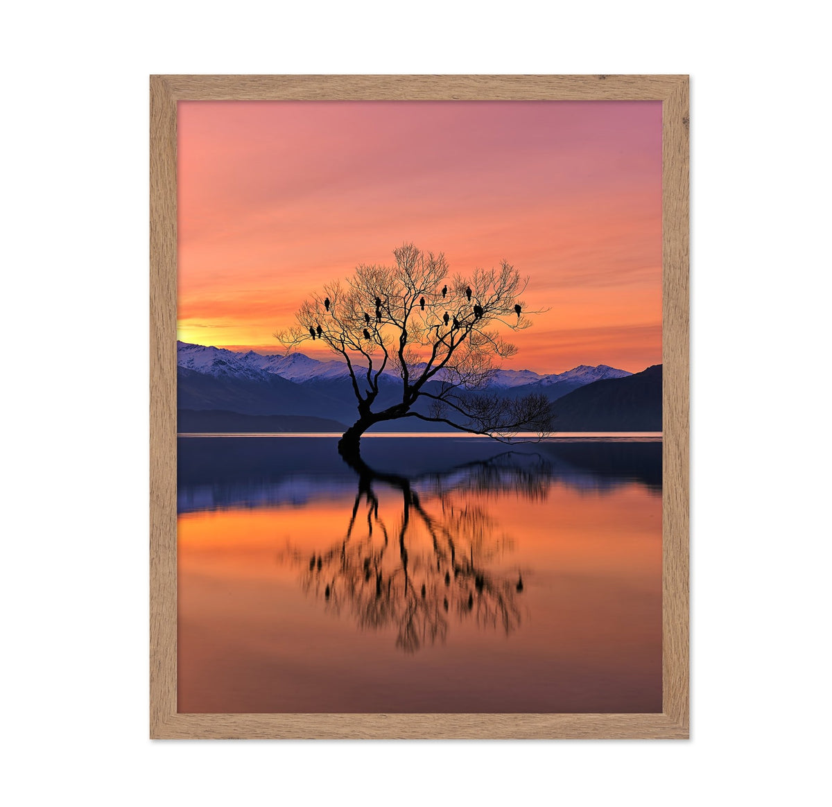 Lone Tree at Sunset Reflection