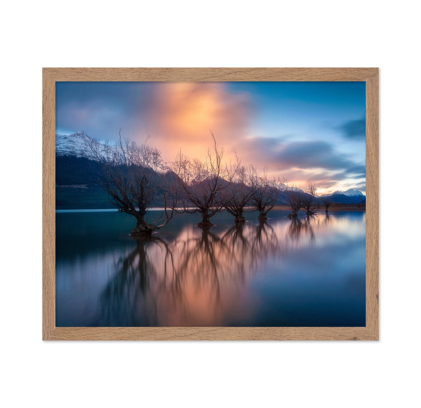 Glenorchy Trees