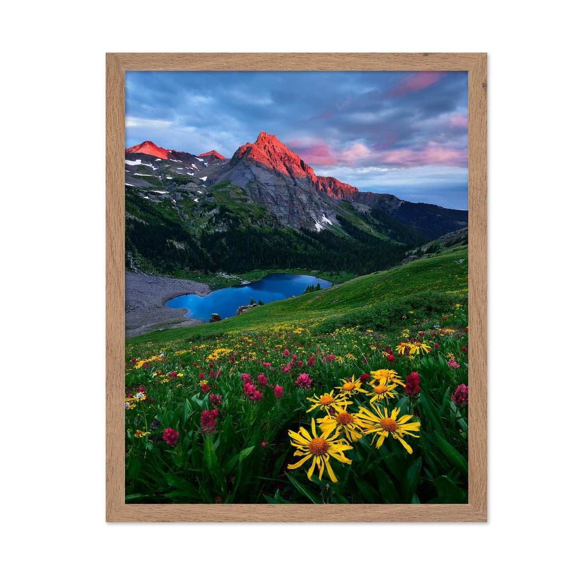 Colorado Wildflowers and Mountain Lake