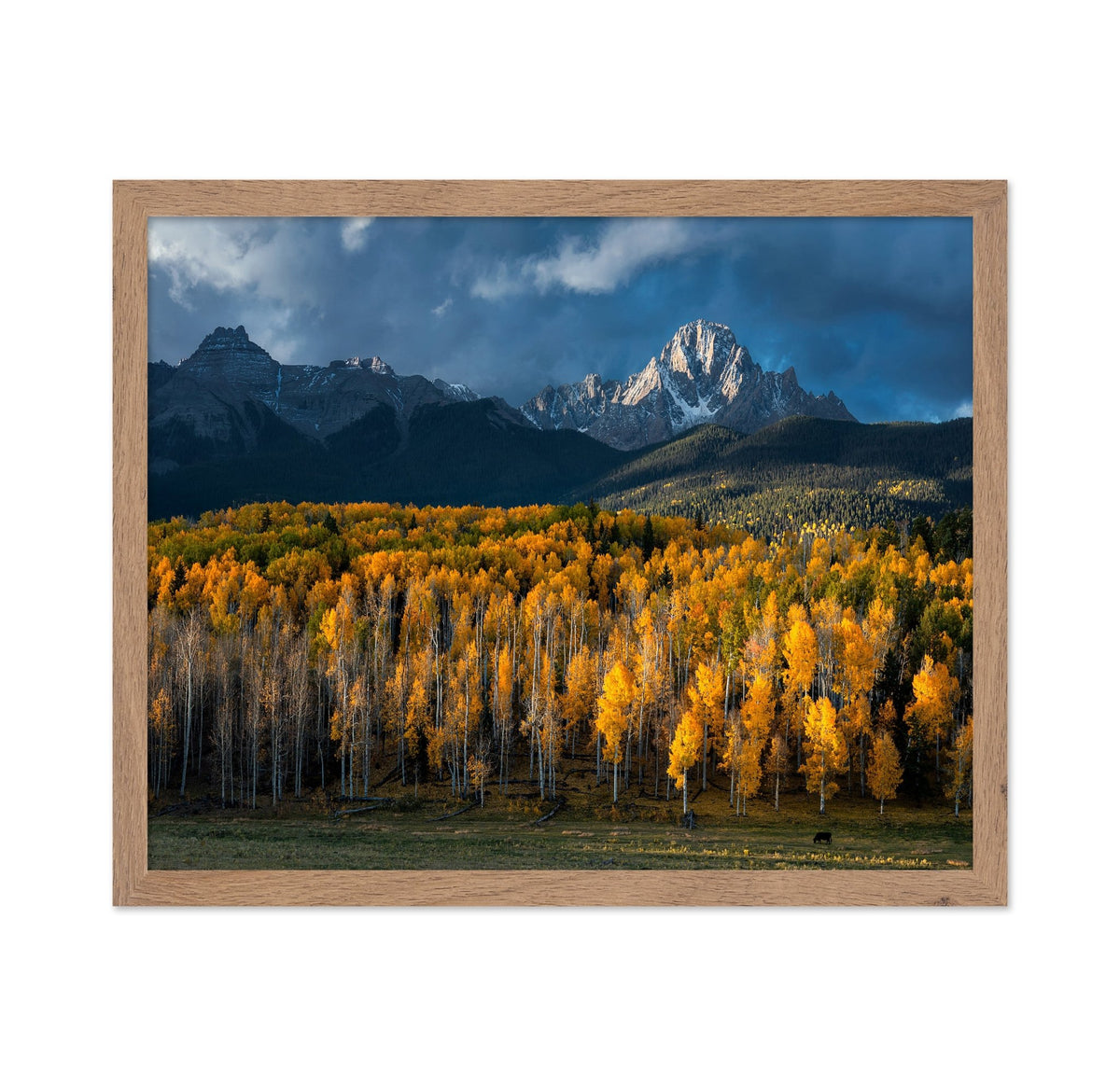 Mt Sneffels Autumn Colors