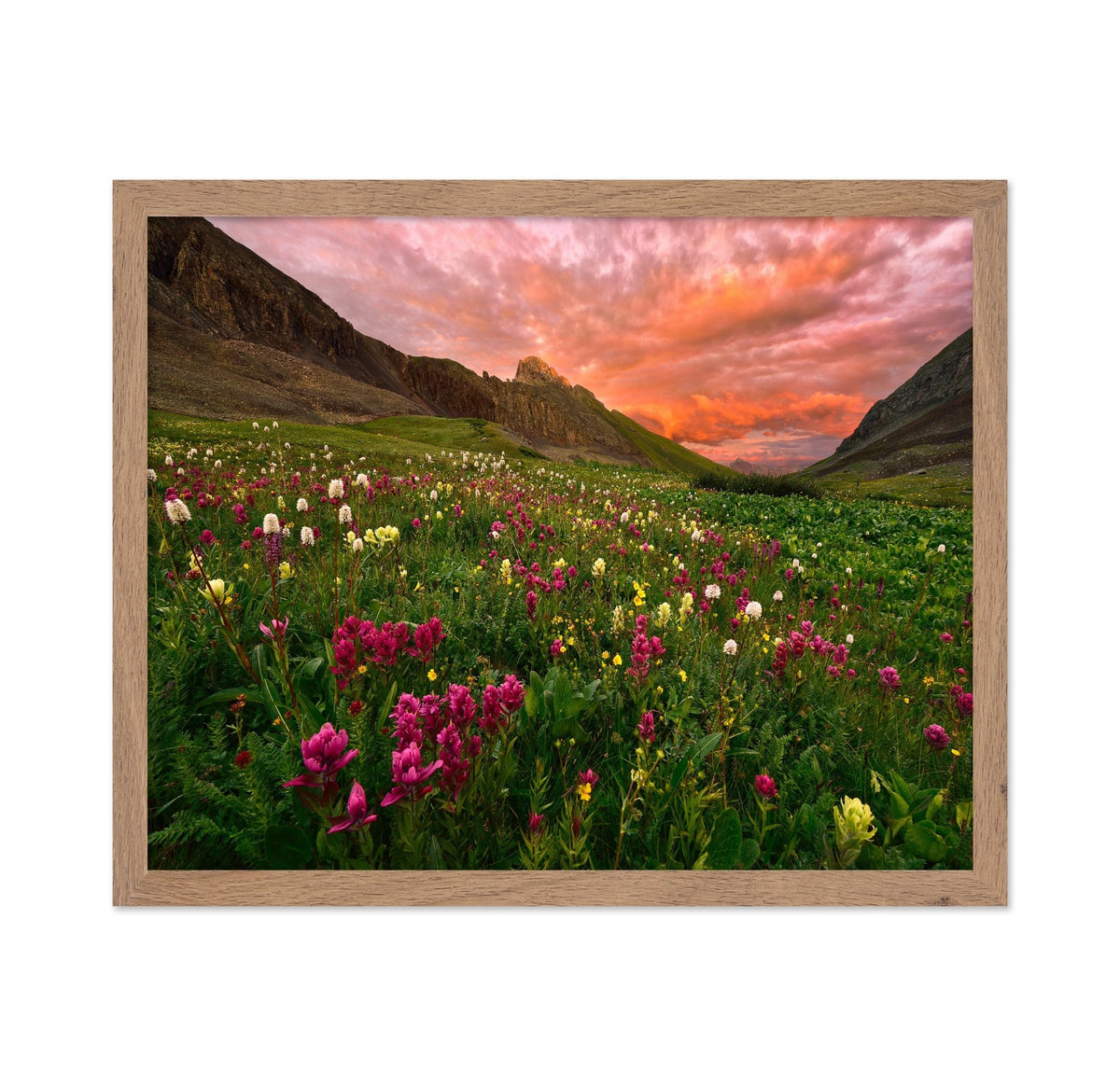Wildflower Meadow at Sunset