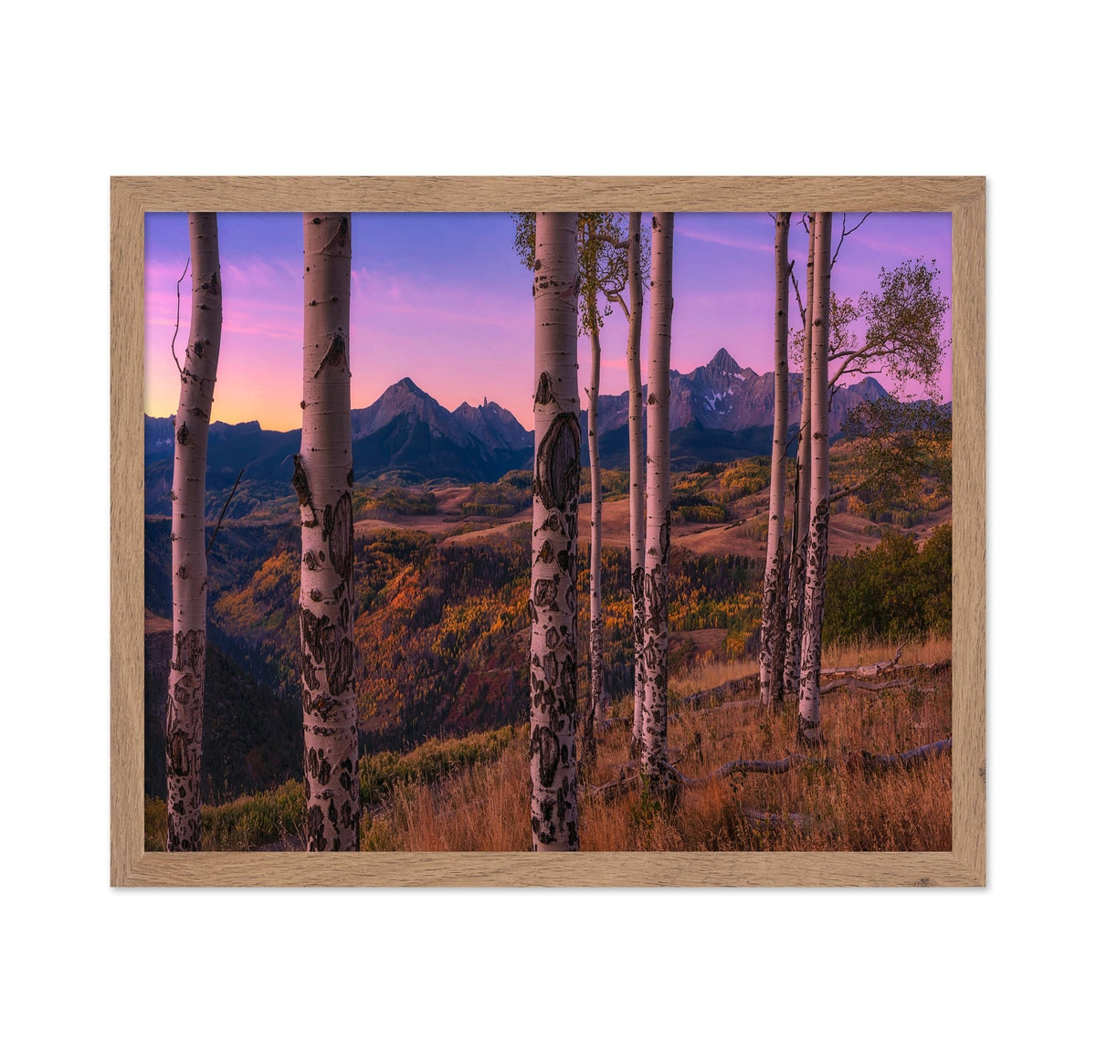 Aspen Trees Framing Mountain Peaks