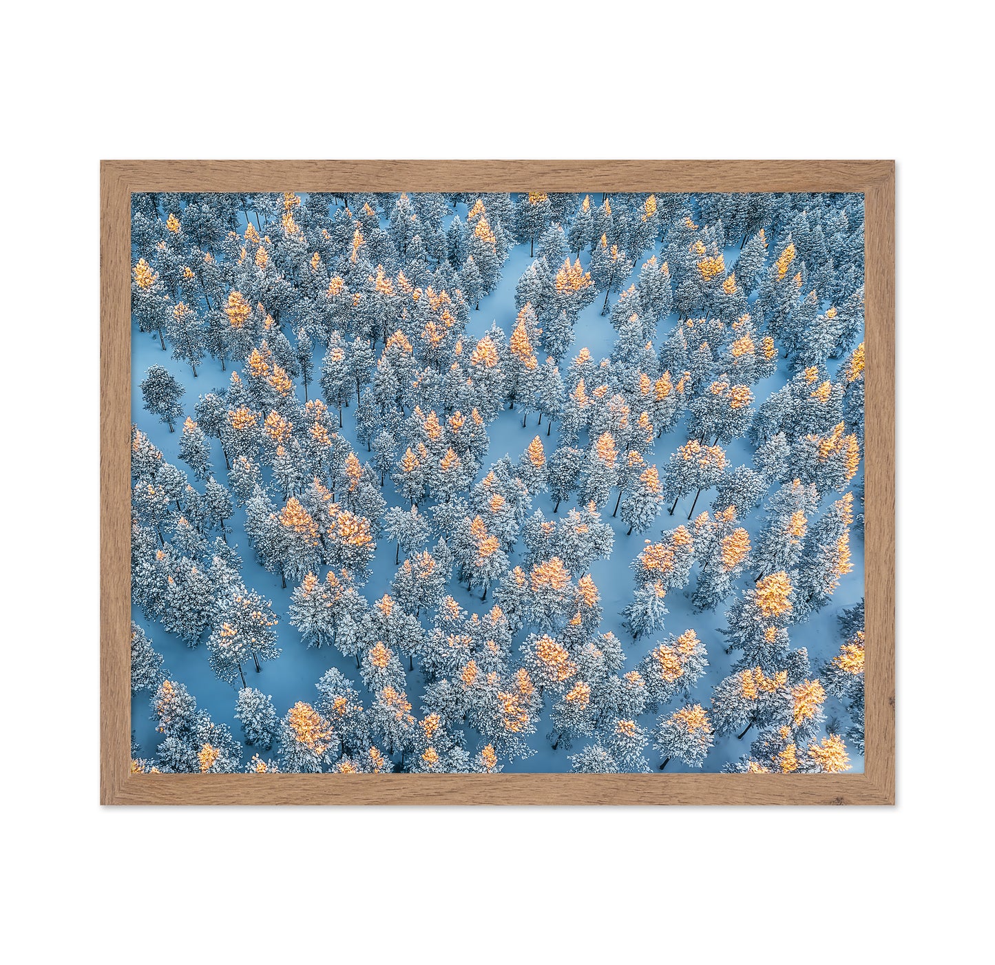 Sunlit Snow Forest Pattern