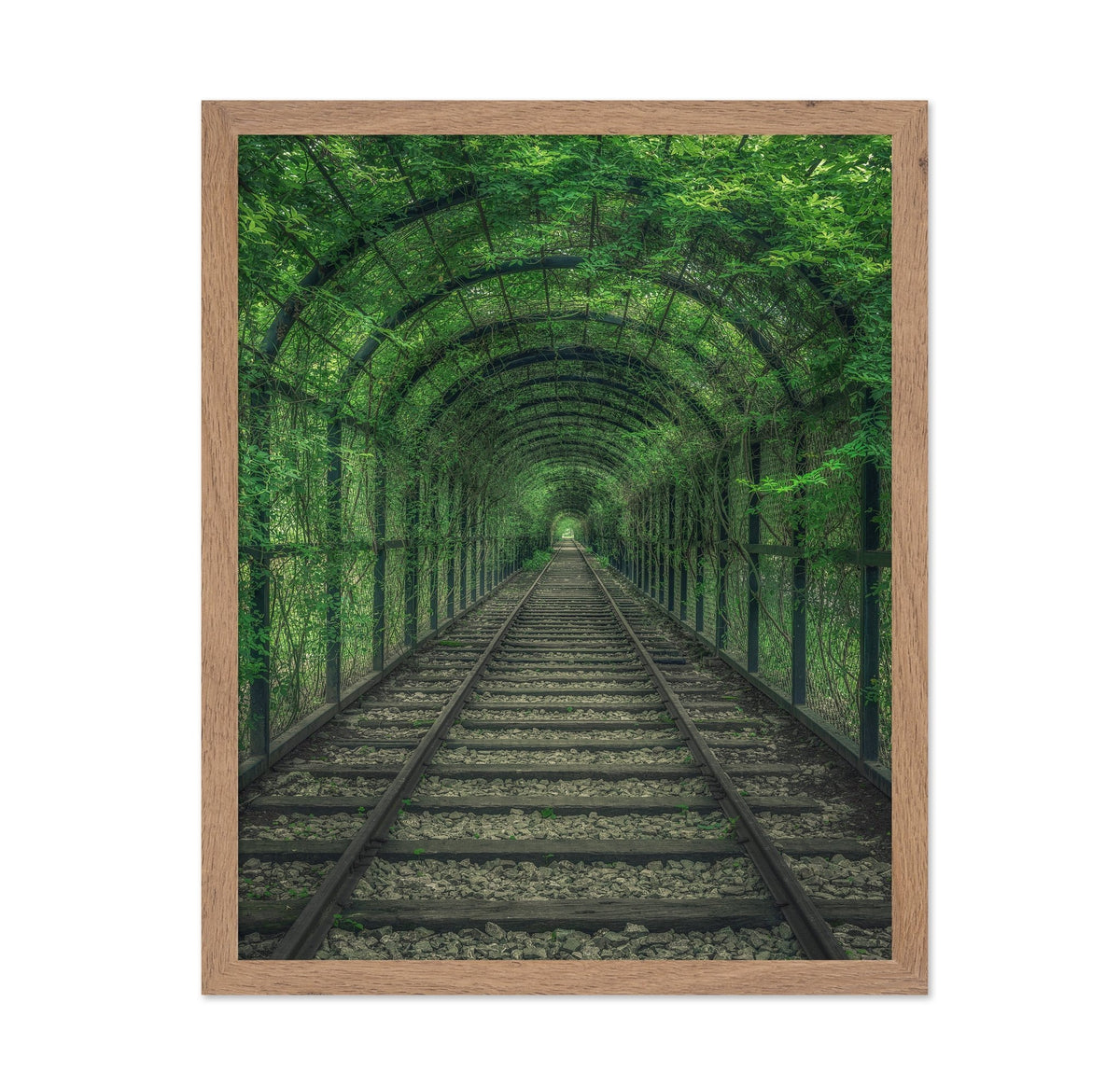 Green Railway Tunnel Path