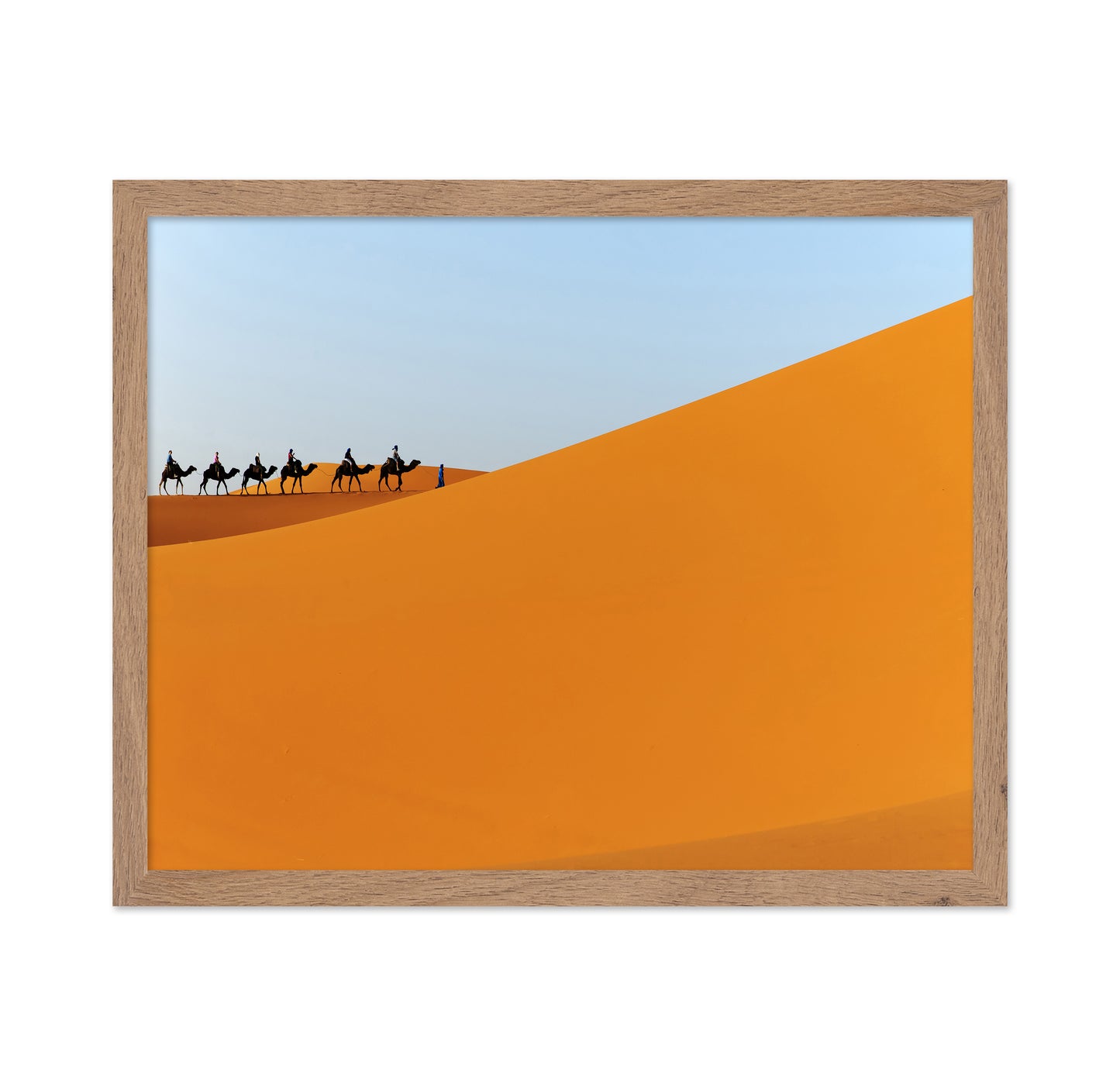 Desert Camel Caravan