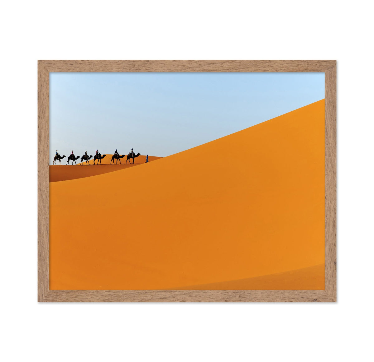 Desert Camel Caravan