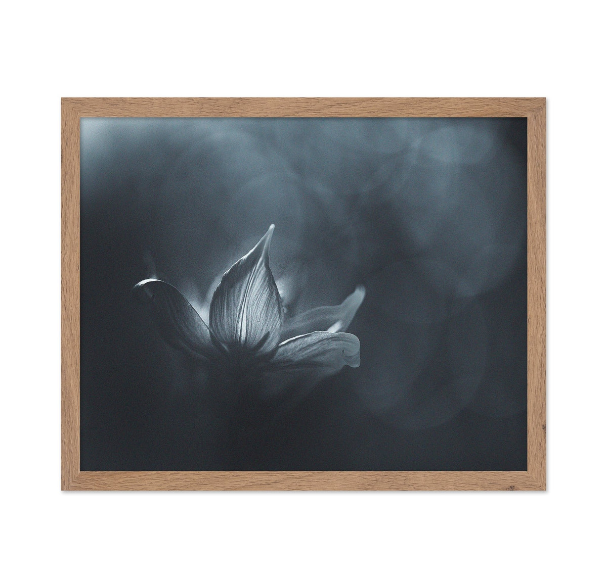 Black White Flower Light