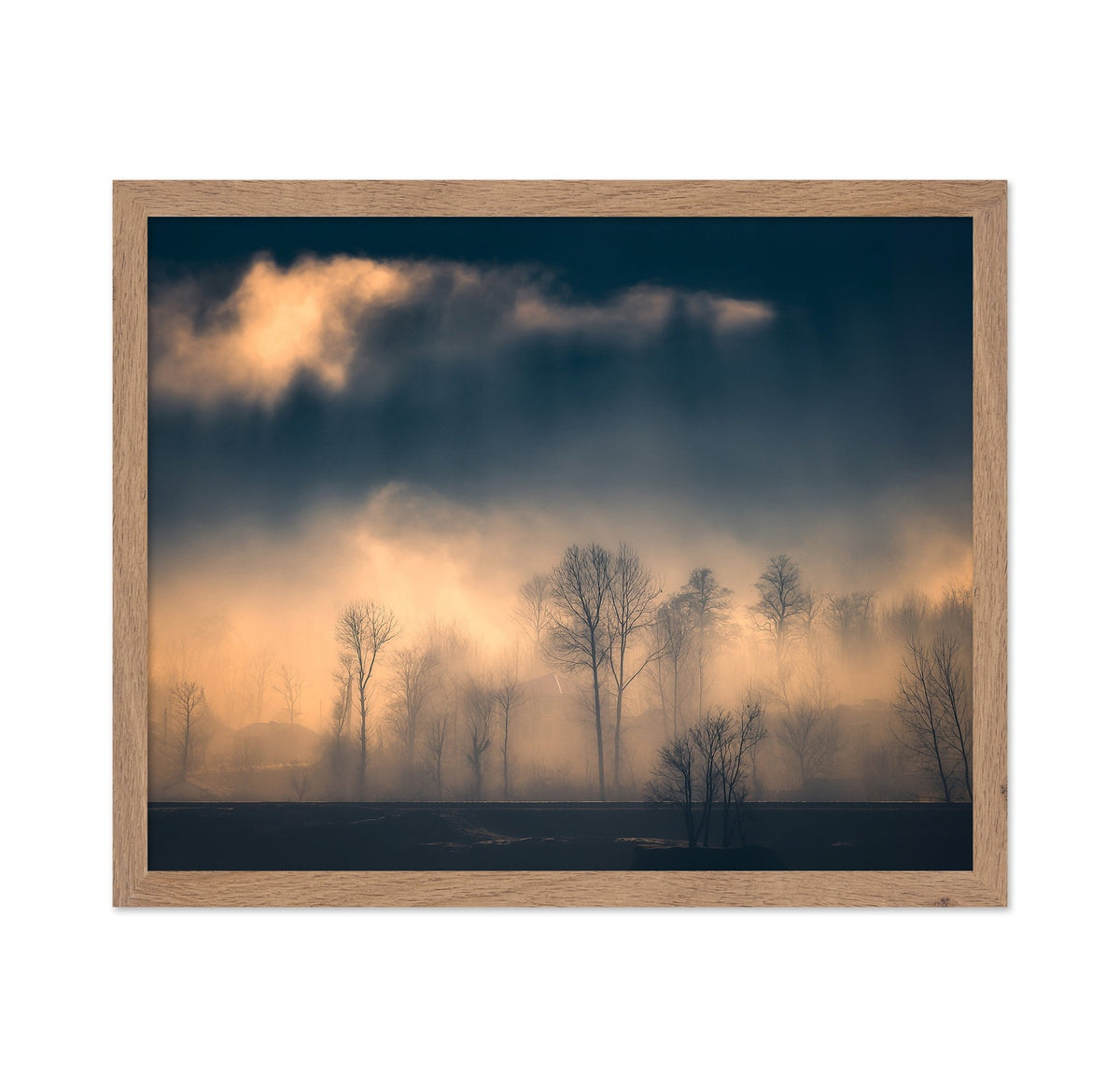 Foggy Trees Golden Light Landscape