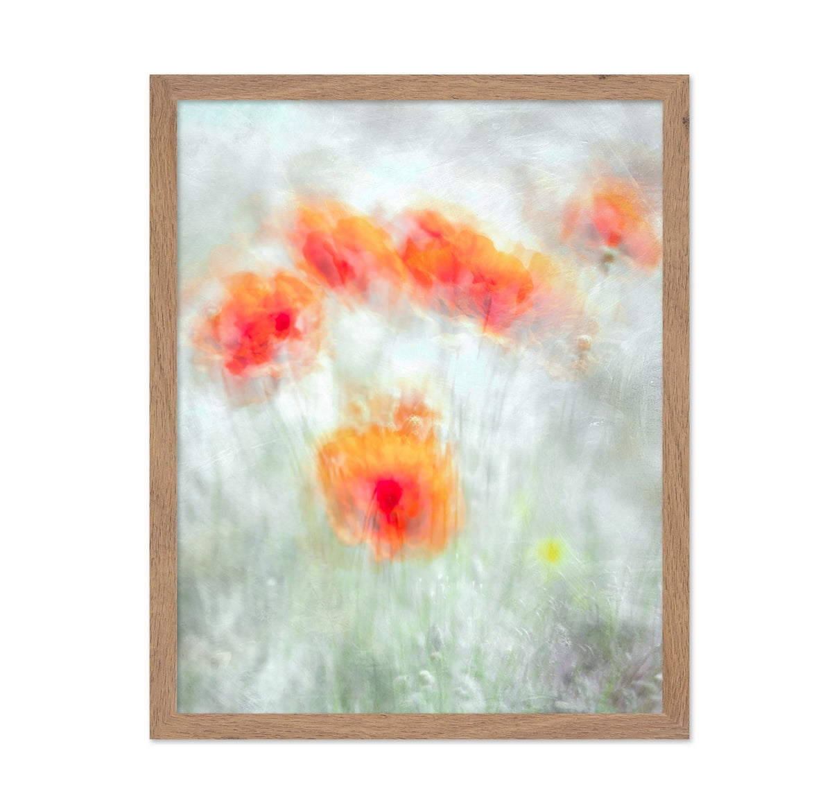 Soft Red Poppy Flowers Abstract