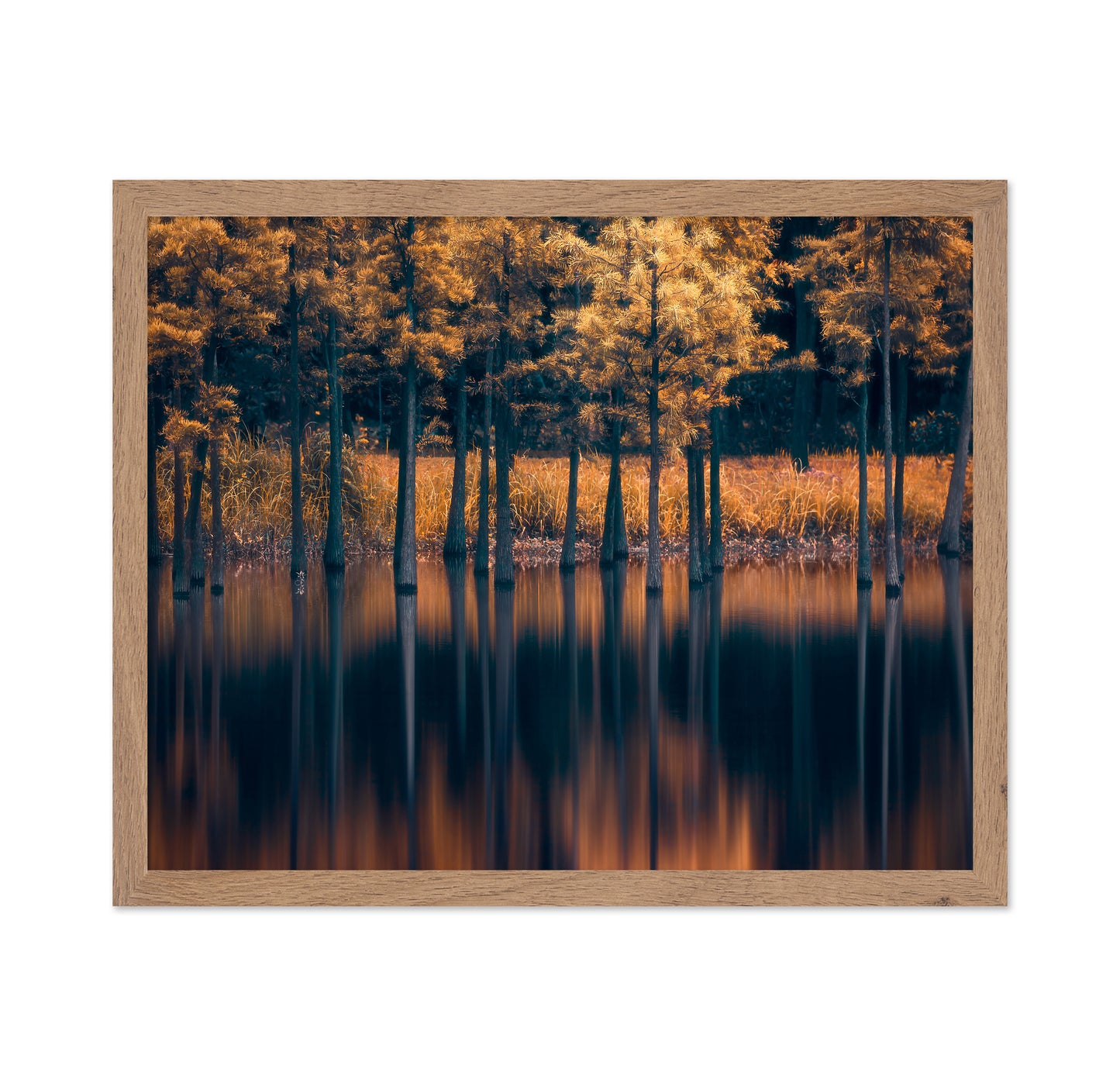 Golden Trees Reflection Lake