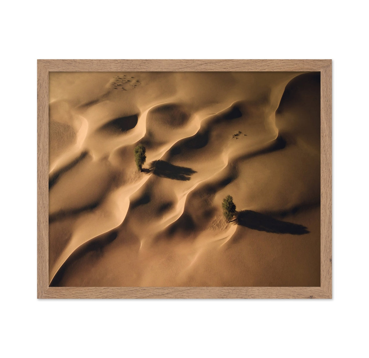 Desert Dunes Trees Aerial Landscape