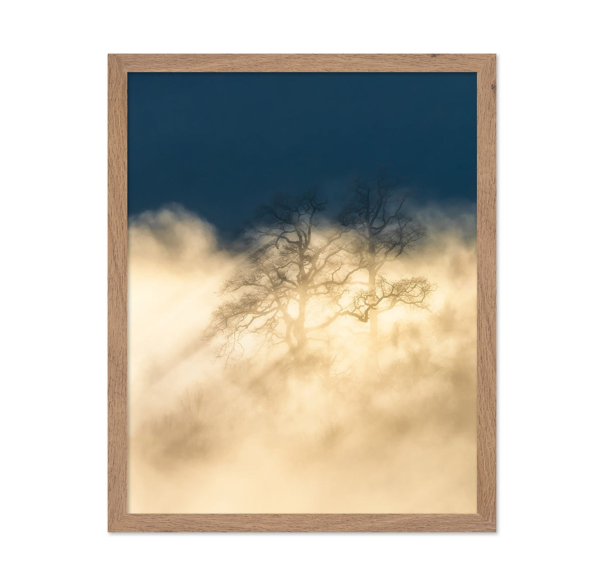 Foggy Tree Golden Light Dreamscape