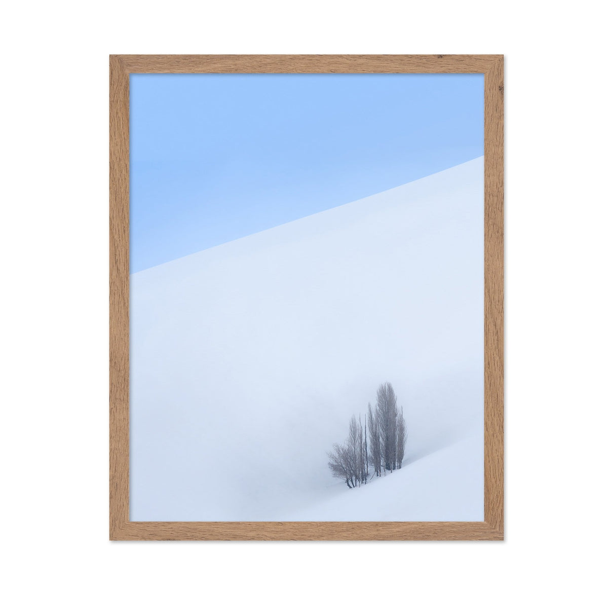 Lone Tree Snow Minimal Landscape