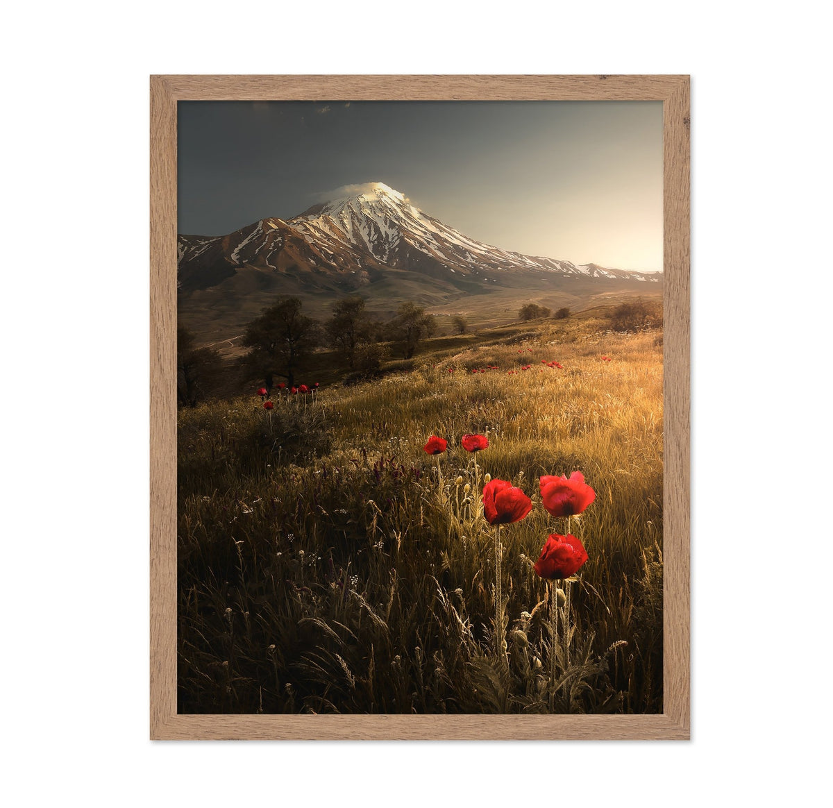 Poppy Field Sunrise Mountain Landscape