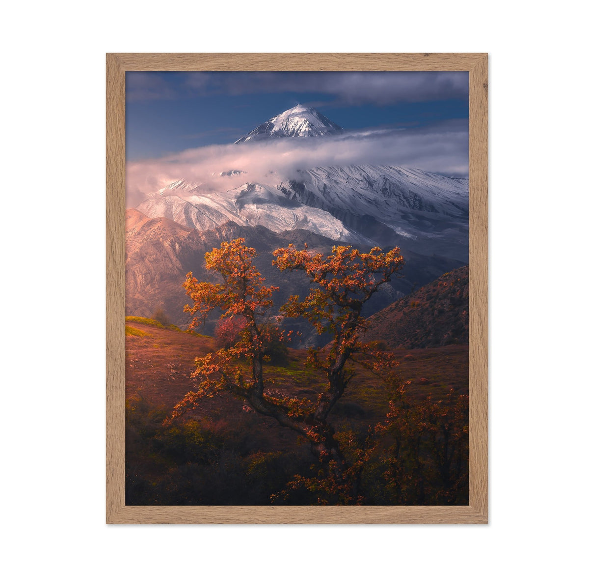 Autumn Trees Mountain Peak
