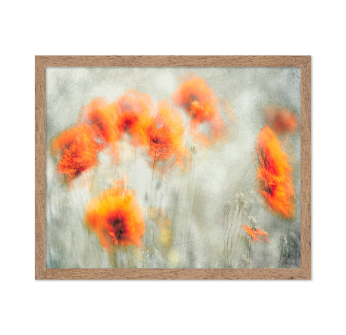 Abstract Poppy Flowers Blur