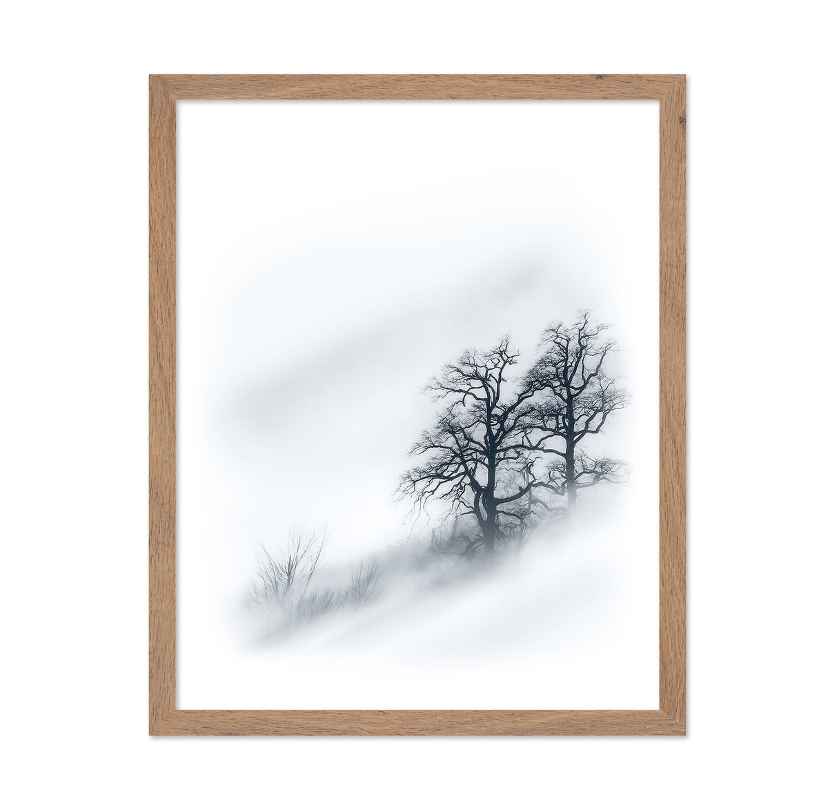 Minimal Trees In Fog