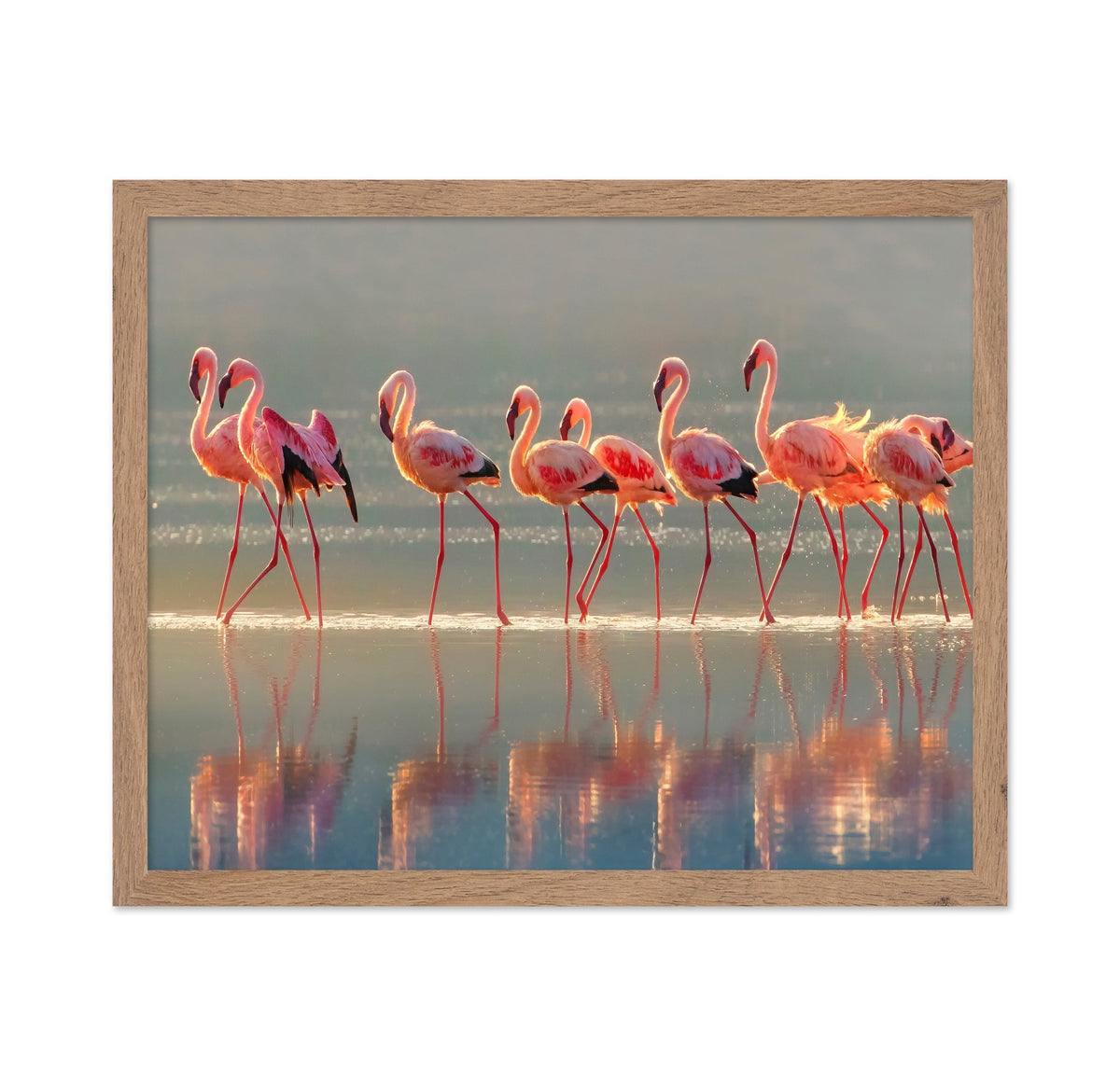 Flamingo Group Reflection