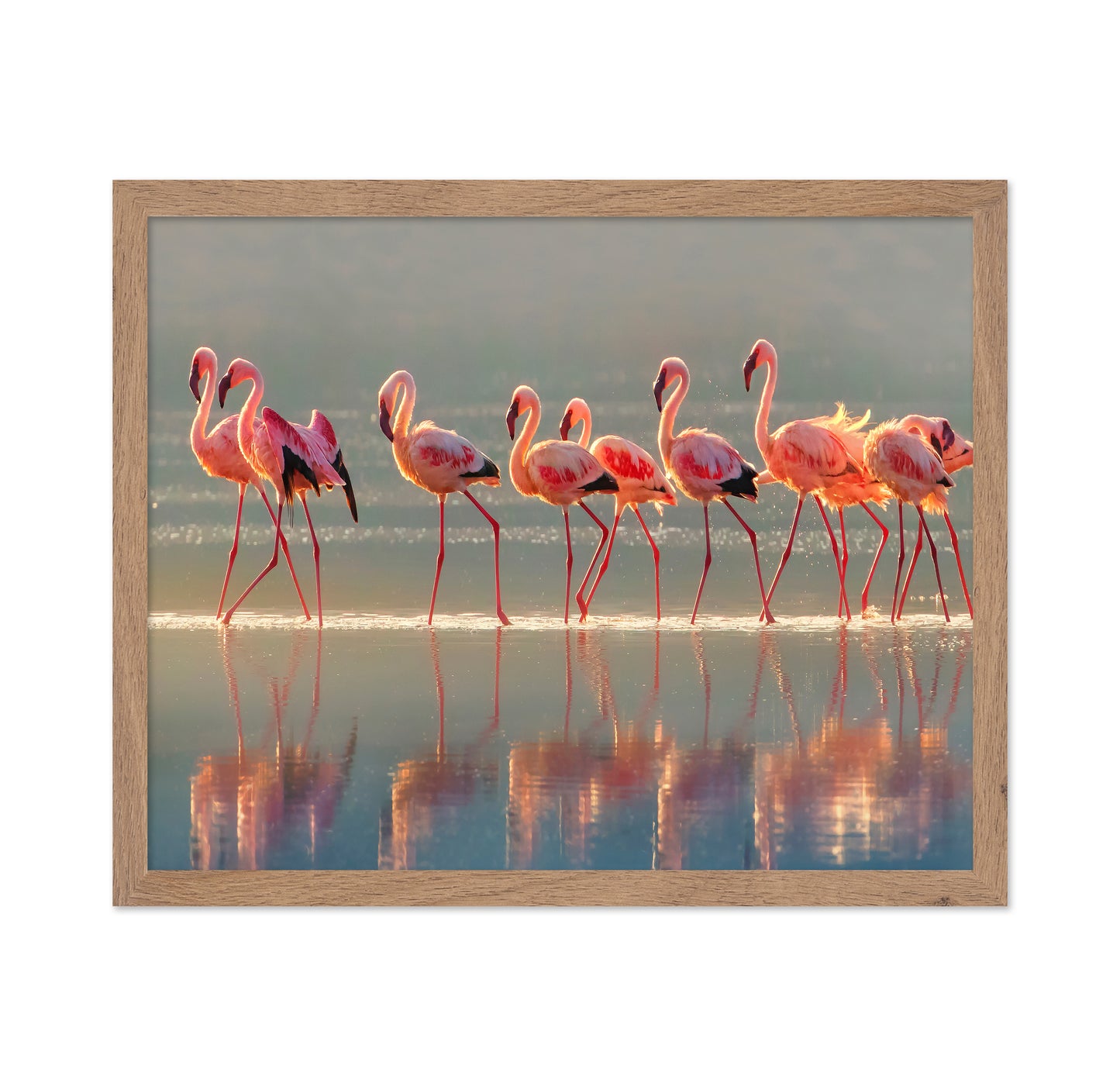 Flamingo Group Reflection